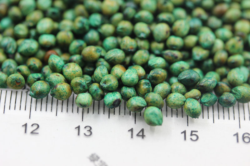 大力士甜高粱種子