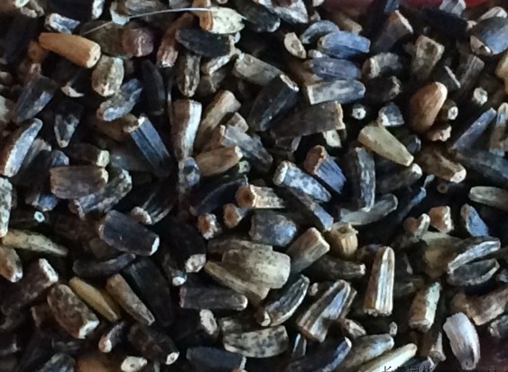 串葉松香草種子畝播種用量