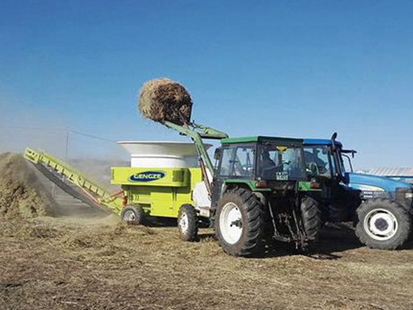最適合養(yǎng)牛的四種牧草有哪些