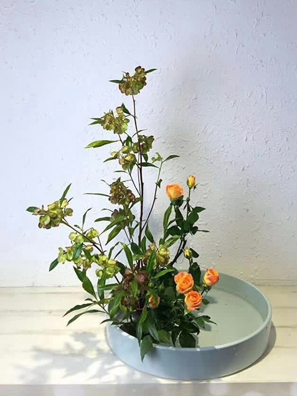 車桑子基本詳情介紹以及一車桑子的插花作品