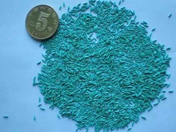 早熟禾草坪種子特點(diǎn)介紹以及鳥巢性狀種植方法