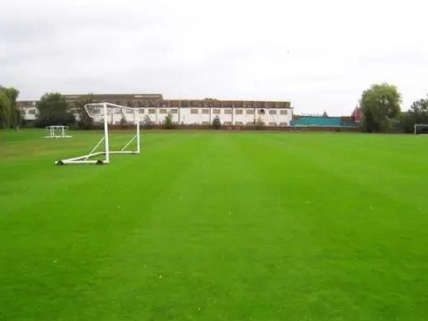 哪里有賣高爾夫球場的草坪種子，哪家種子質量有保障？