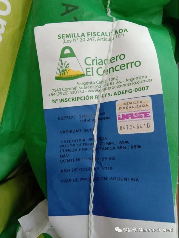 白三葉品種—上吉(Sulky) 