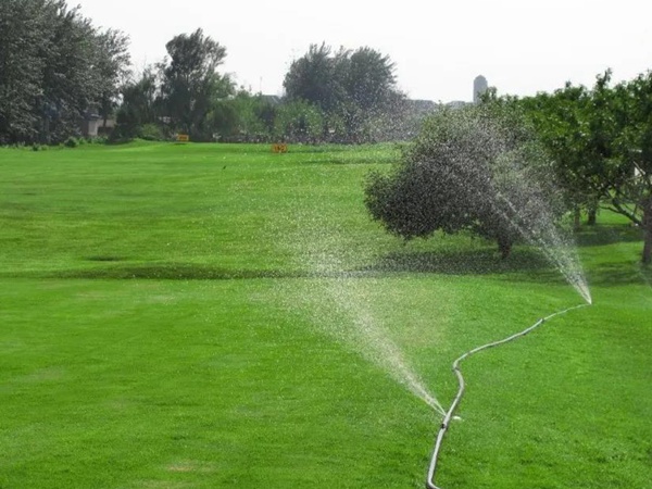 草坪養(yǎng)護(hù) | 夏季管理管理技術(shù)要點(diǎn)與栽培方法