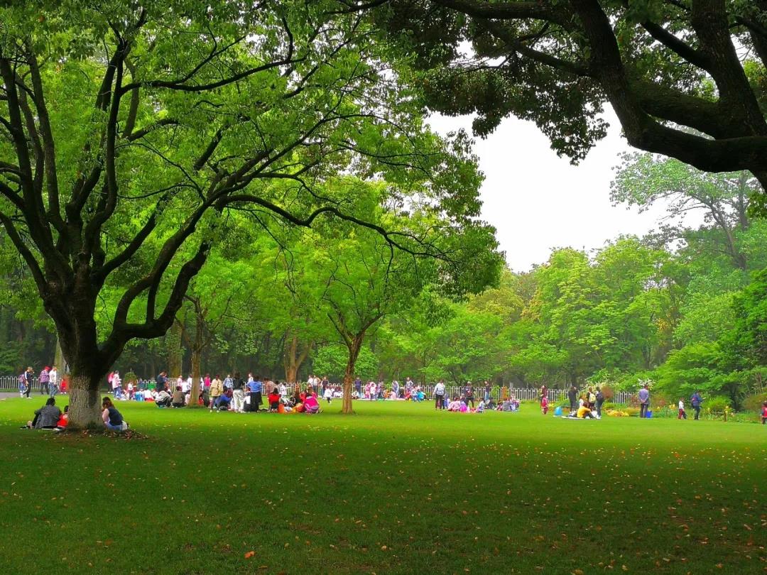 草坪如何才能美如畫，需要這幾個步驟