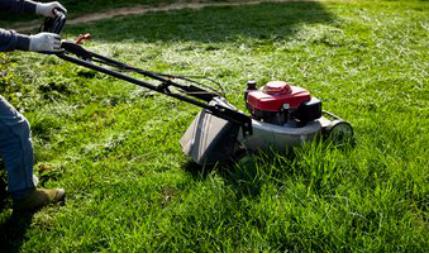 草坪怎么樣修剪才是正確的，什么方法比較好？