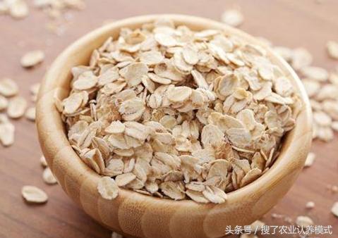 燕麥種子發芽率低怎么辦？怎么樣才能提高燕麥種子的發芽率？