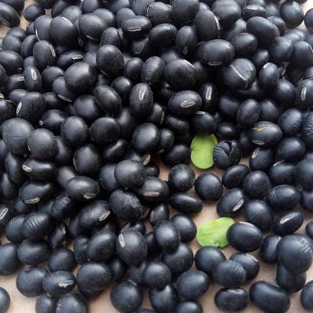 黑豆優質高產栽培技術與后期管理方法 黑豆優質高產栽培技術與后期管理方法