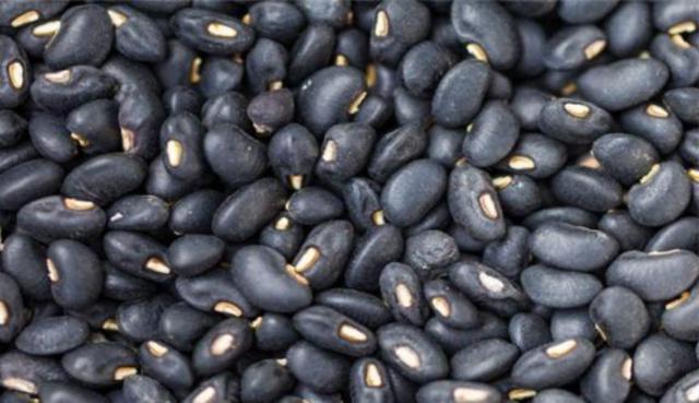 黑豆怎么樣種植？如何提高黑豆高產量？