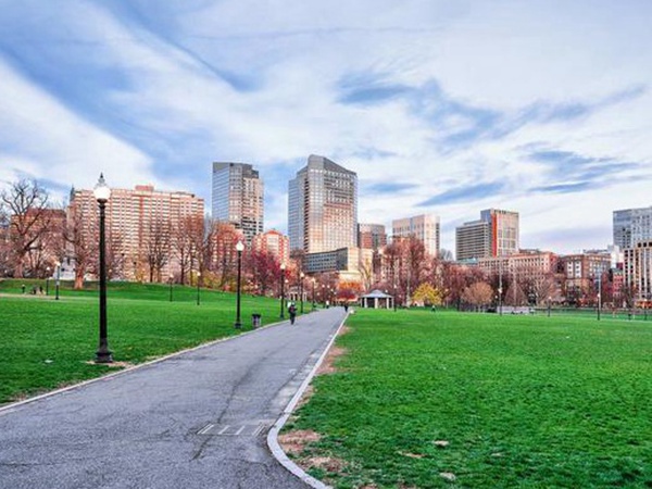 草坪生活中有很多，草坪的種類有哪些？