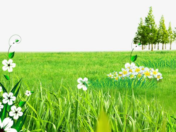 要想草坪養護好，需要注意這幾項