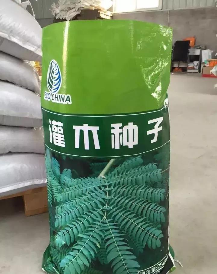 灌木種子—車桑子介紹以及播種方法 灌木種子—車桑子介紹以及播種方法