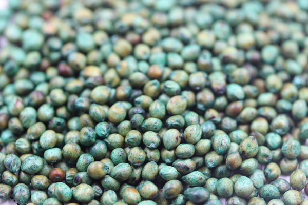 <a href=http://m.honeyandbeau.com.cn/product/2.html target=_blank class=infotextkey>大力士甜高粱種子</a>