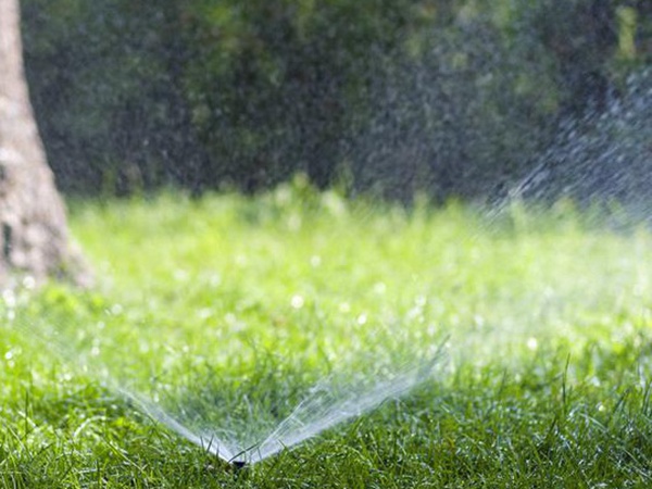 草坪生活中有很多，草坪的種類有哪些？