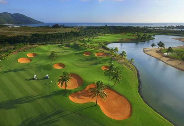 一次種植，多次收益的優質牧草——多年生黑麥草