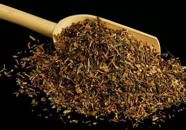 要想小米草種的好，要學會種植的技巧與方法