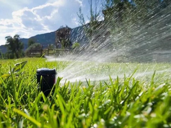 草坪養(yǎng)護(hù) | 夏季管理管理技術(shù)要點(diǎn)與栽培方法