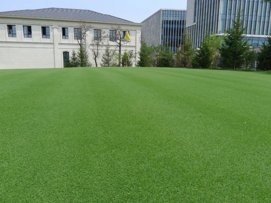 草坪如何才能美如畫，需要這幾個步驟