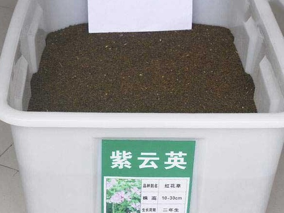 紫云英栽培技術以及田間管理方法 紫云英栽培技術以及田間管理方法