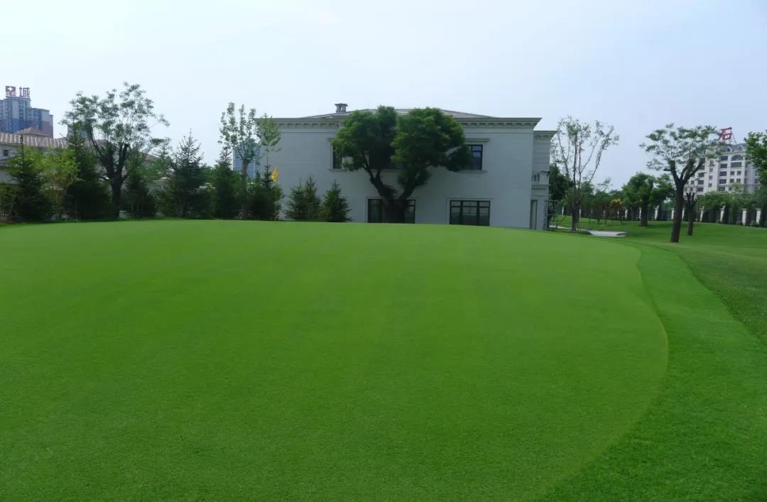 草坪如何才能美如畫，需要這幾個步驟