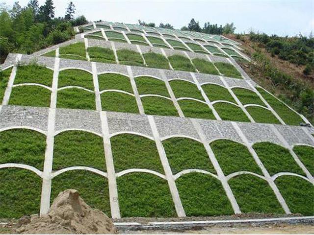 生命力頑強、耐踐踏又美觀的狗牙根草坪