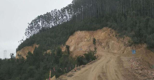 綠籬之王—銀合歡種植環(huán)境