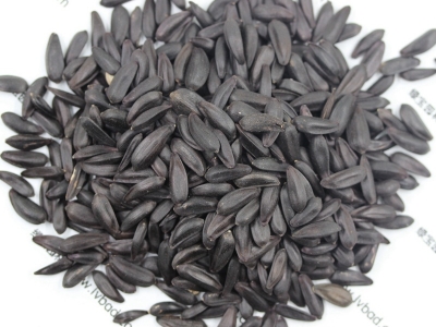 多頭向日葵種子