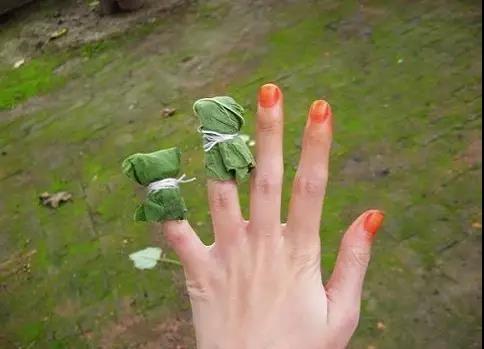 鳳仙花又稱指甲花 還可以染指甲你知道嗎