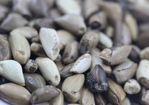 1626957093545851.jpg image.jpg