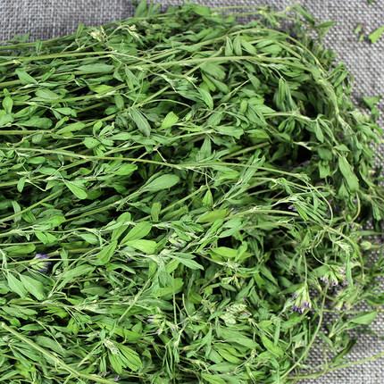 苜蓿畝產(chǎn)干草多少?lài)? _src=