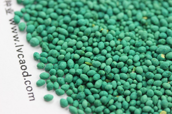 馬尼拉草坪多少錢一方