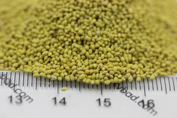 白三葉草種子種植方法