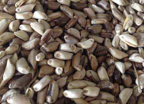 1627275034947970.jpg image.jpg