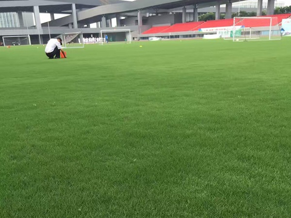 1627368823145222.jpg image.jpg