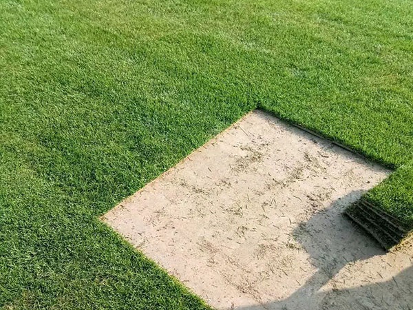 1627373571601938.jpg image.jpg