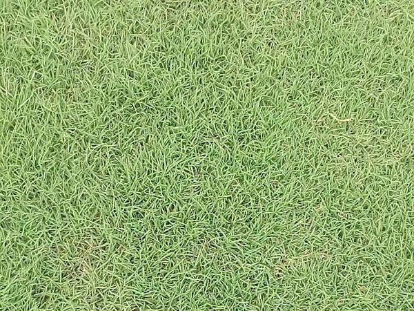 1627376120726993.jpg image.jpg