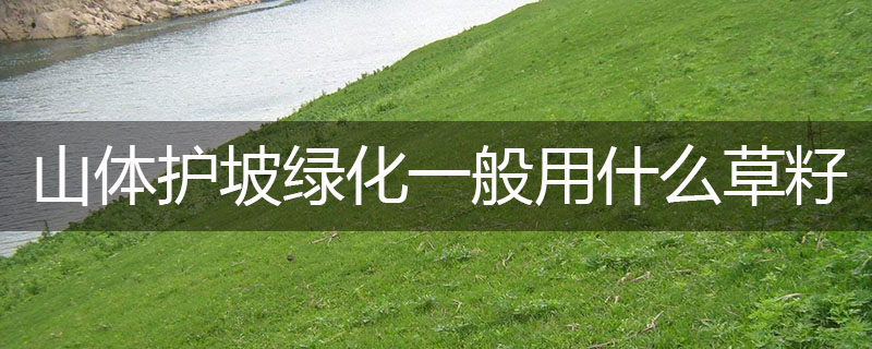 山體護坡綠化一般用什么草籽