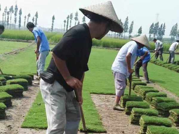 1627699796608237.jpg image.jpg