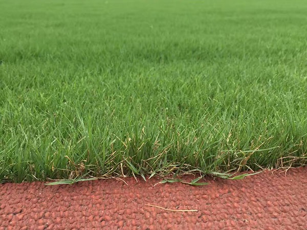 1627699801639079.jpg image.jpg