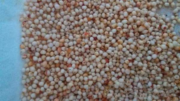 1627989600419735.jpg image.jpg