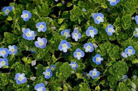 1627990394247086.jpg image.jpg