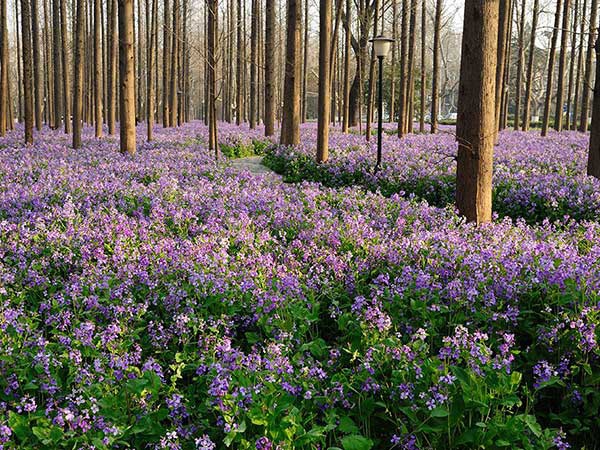 1628245149621893.jpg image.jpg