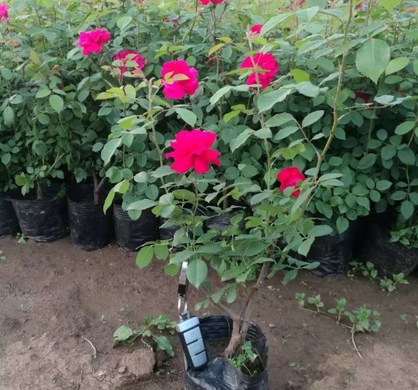 1628668654630470.jpg image.jpg