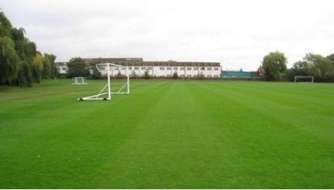 高羊茅草坪種子的建植方法與養(yǎng)護管理技術(shù)