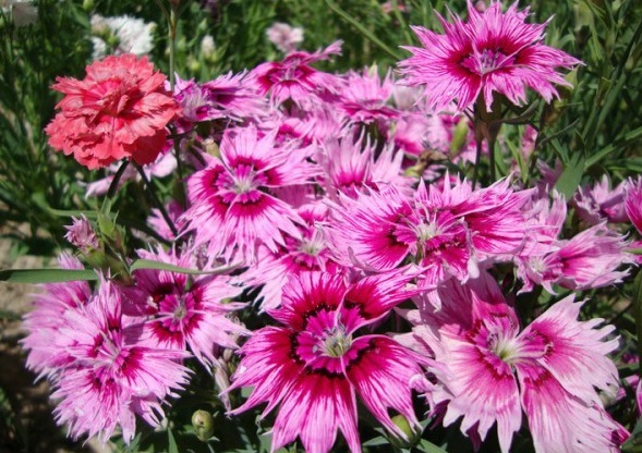 1628862920307906.jpg 1628862913(1).jpg