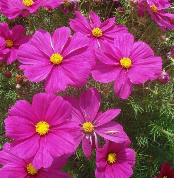 1629102580673558.jpg 1629102576(1).jpg