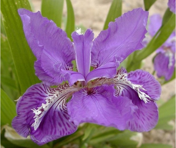 1629102698914337.jpg 1629102695(1).jpg