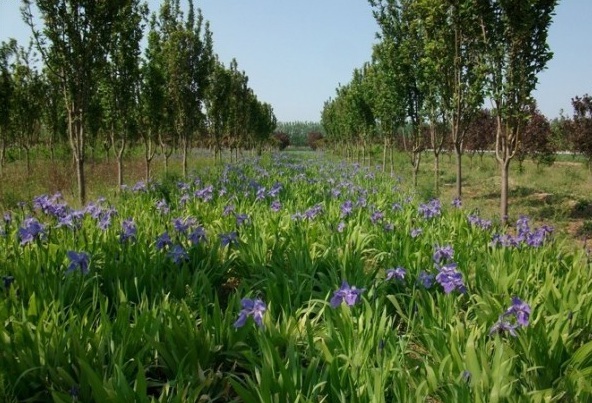 1629102711263503.jpg 1629102707(1).jpg