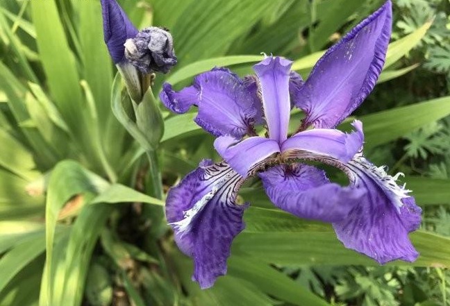 1629102723716056.jpg 1629102720(1).jpg