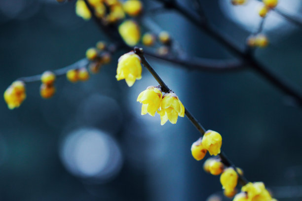 1629112163258359.jpg 1629112163258359.jpg